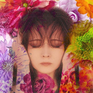 Akina Nakamori - Fixer 2LP