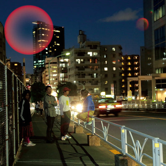 Kinoko Teikoku - Time Lapse LP