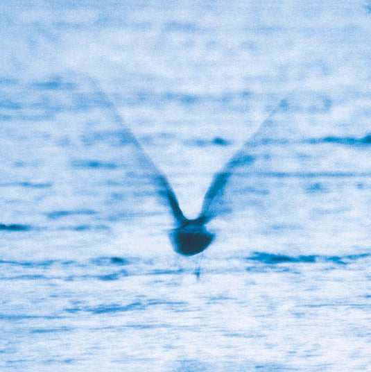Ryo Fukui - Mellow Dream LP