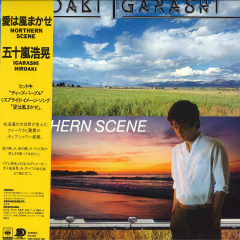 Hiroaki Igarashi - Northern Scene LP (Used)