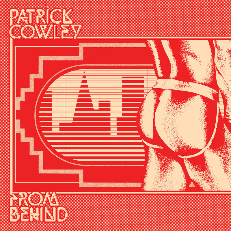 Load image into Gallery viewer, Patrick Cowley - From Behind LP
