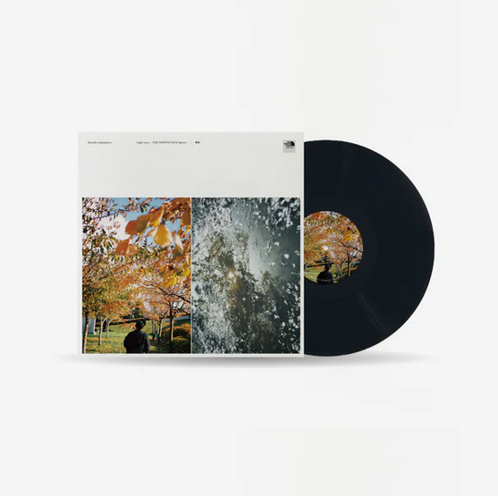 Load image into Gallery viewer, Haruka Nakamura - Shunju: Spring &amp; Autumn LP

