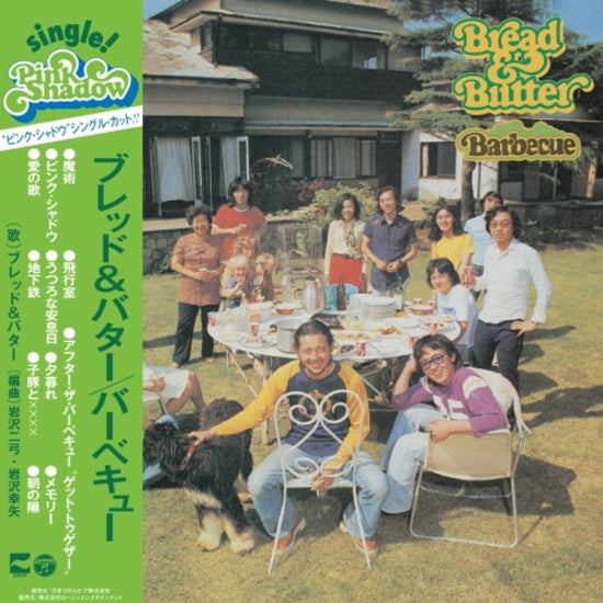 Load image into Gallery viewer, Bread &amp; Butter - Barbecue LP
