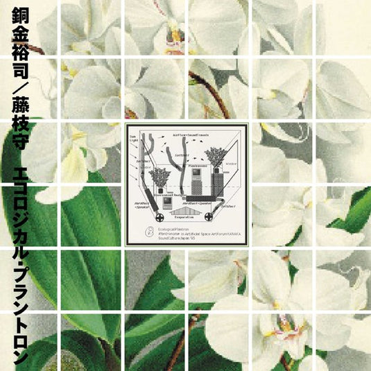 Yuji Dogane and Mamoru Fujieda - Ecological Plantron LP (Pre-Order)