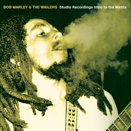 Bob Marley & The Wailers Studio Recordings Intro to the Matrix LP